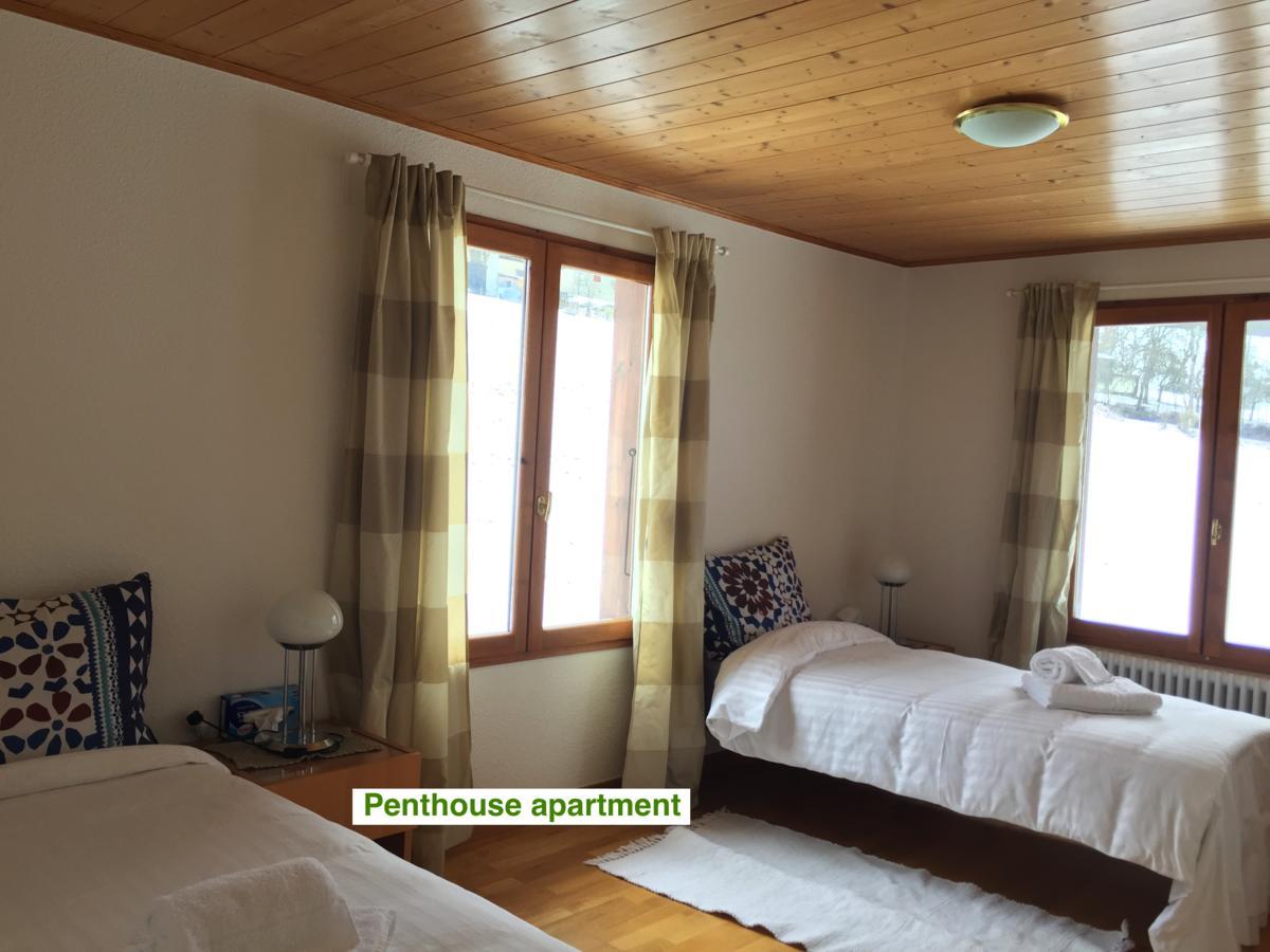 Le Green Chalet Villard-sur-Boege Kültér fotó
